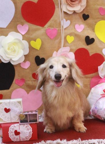 20230201マックくん